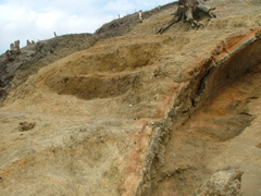 二次窯西土坑完掘状況(南から)