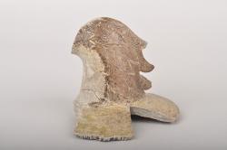 公益財団法人 瀬戸市文化振興財団