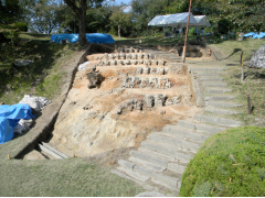 ４区北壁土層断面(南から)